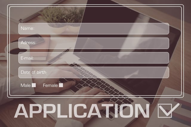 Überblick über das Laos E-Visum-Antragsformular