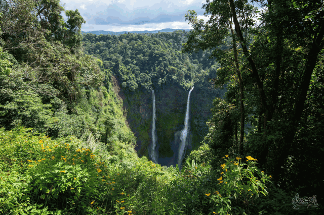 พื้นที่อนุรักษ์ที่ราบสูงโบลาเวน