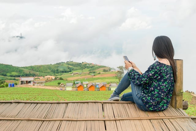 November to february November to february