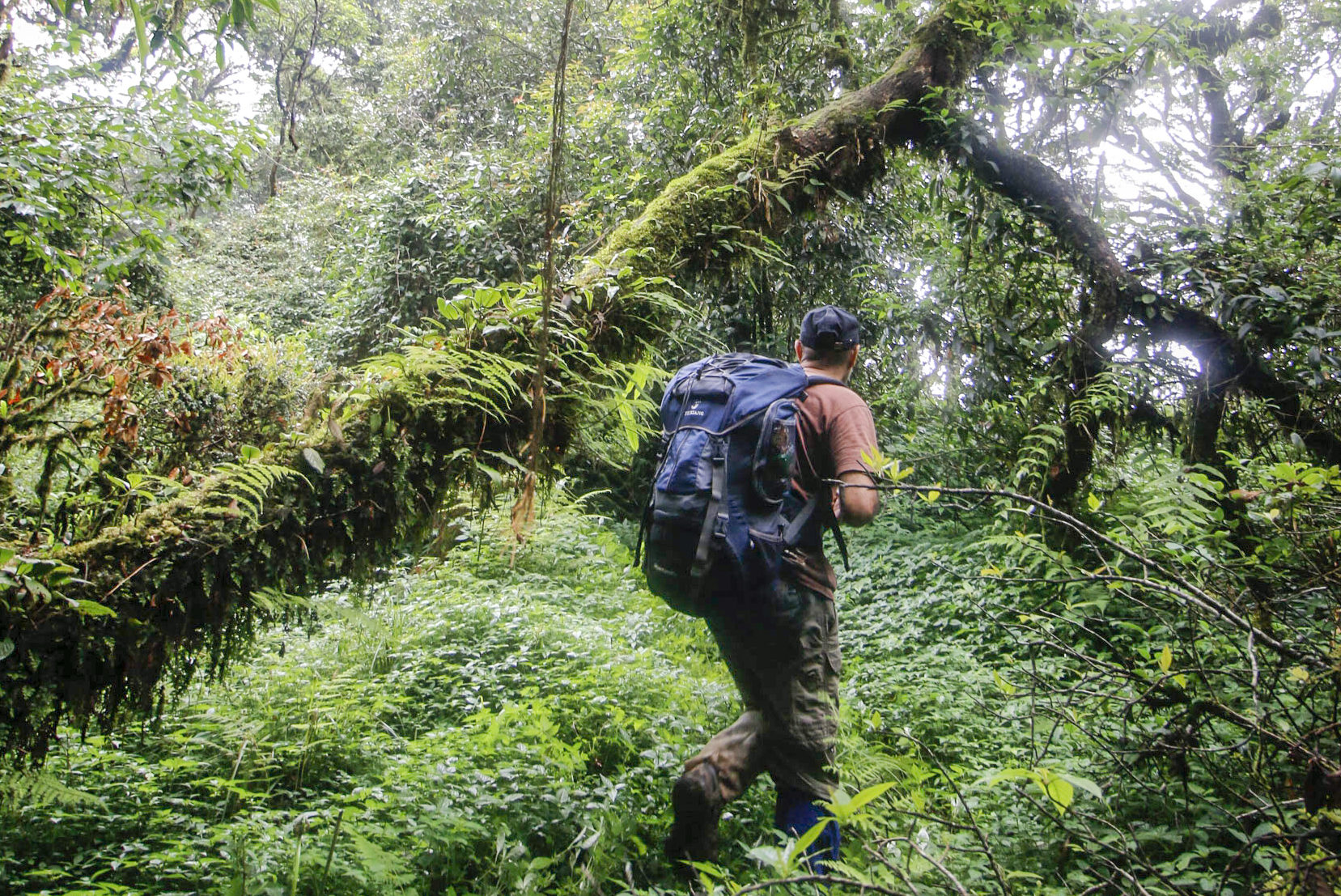 Nam Et-Phou Louey National Protected Area