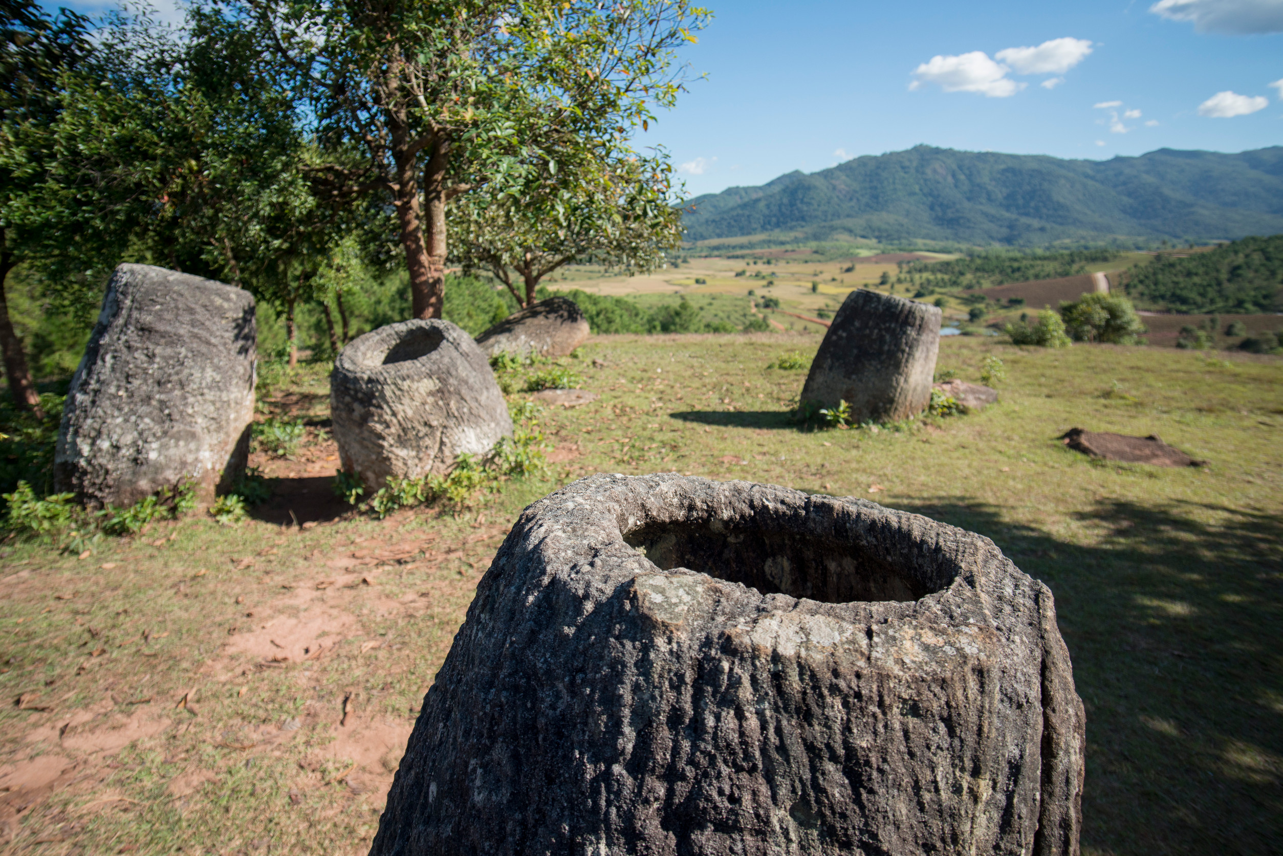 Plain Of Jars