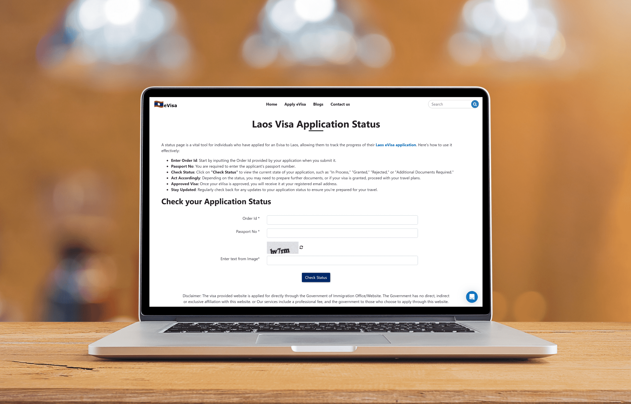 Visa application status