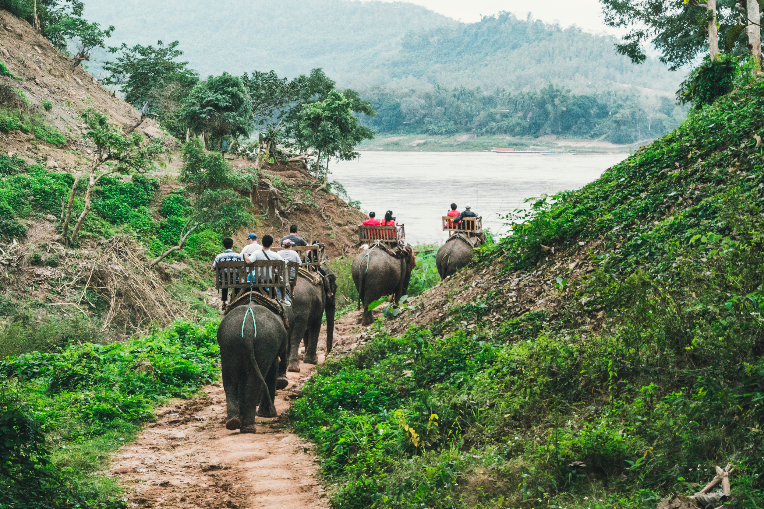 Wildlife Sanctuaries To Visit In Laos